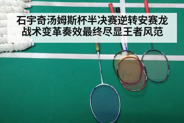 badminton match court